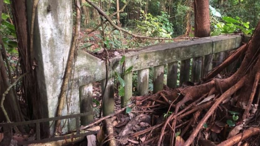 Wanita maut selepas mendaki di Upper Bukit Timah dihempap bongkah konkrit ketika bergambar