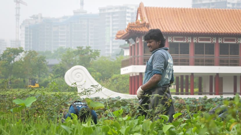 MOM issues new guidelines for employers to adjust outdoor work based on hourly PM2.5 readings