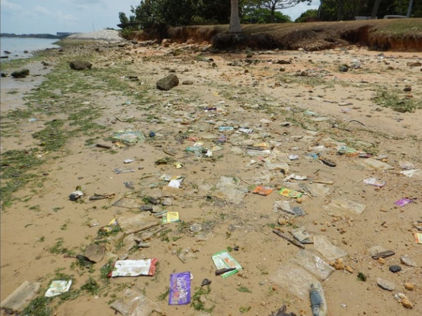 Up to 600 tonnes of fish lost to algal bloom: AVA