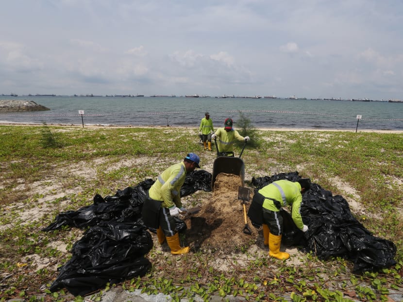 A section of East Coast Park beach near Bougainvillea Garden and car park F2 was affected by an oil slick on Wednesday (July 19). Photo: Koh Mui Fong/TODAY A section of East Coast Park beach near Bougainvillea Garden and car park F2 was affected by an oil slick on Wednesday (July 19). Photo: Koh Mui Fong/TODAY