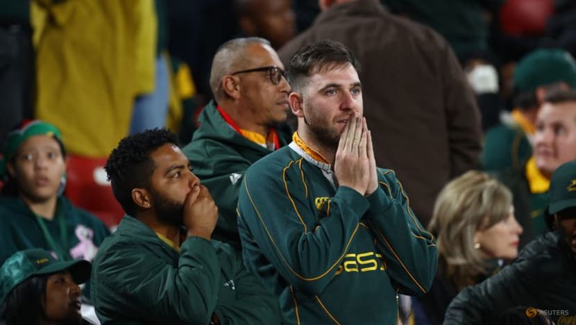 Wallabies expecting Cape Town backlash after Ellis Park euphoria