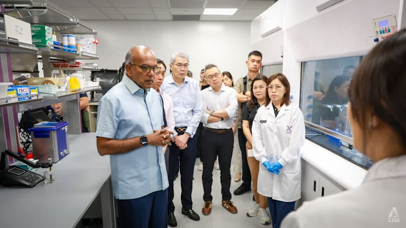 New chemical, biological lab opened near Changi Airport to boost  Singapore's pandemic response - CNA