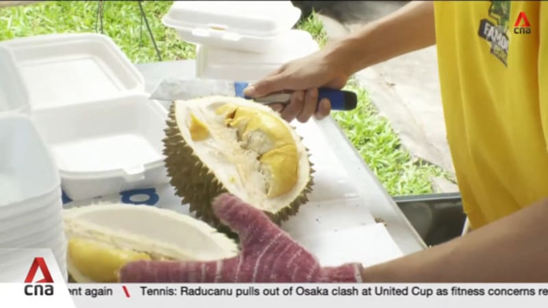 Mao Shan Wang durian prices lowest in 10 years on back of bumper crop in Malaysia 