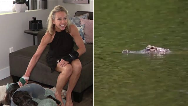 爱犬突遭鳄鱼袭击 美国女子徒手斗鳄鱼救狗