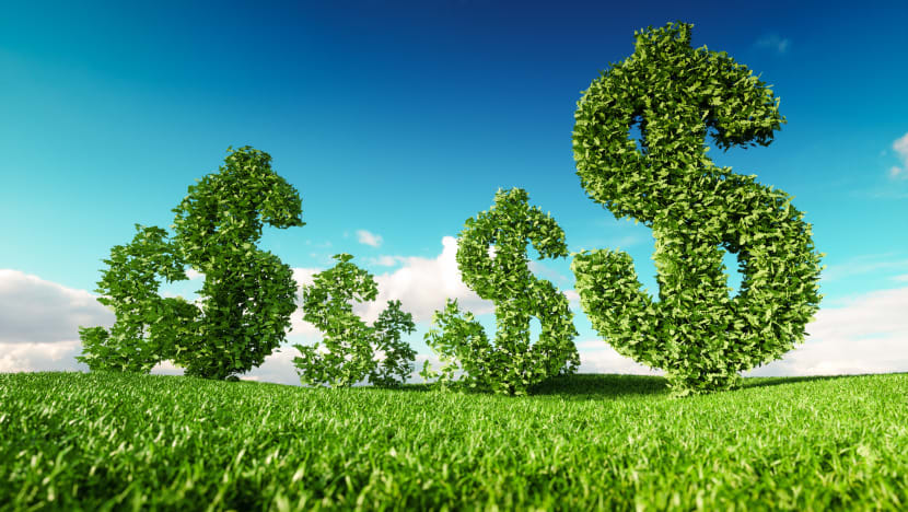 Explainer: What is so ‘green’ about green loans?