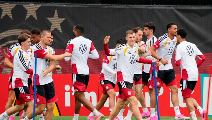 Germany fly in groundskeeper Breuning to maintain World Cup training pitch amid heat