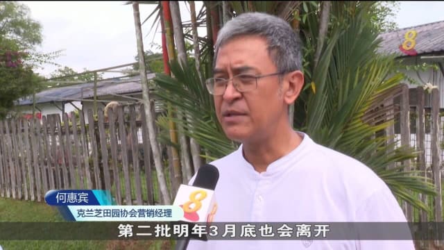 克兰芝农场接驳巴士反应佳 业者考虑增加趟次