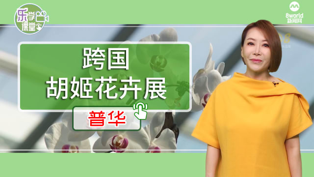 【普华】东南亚五国举办跨国胡姬花卉展  彰显文化共同点