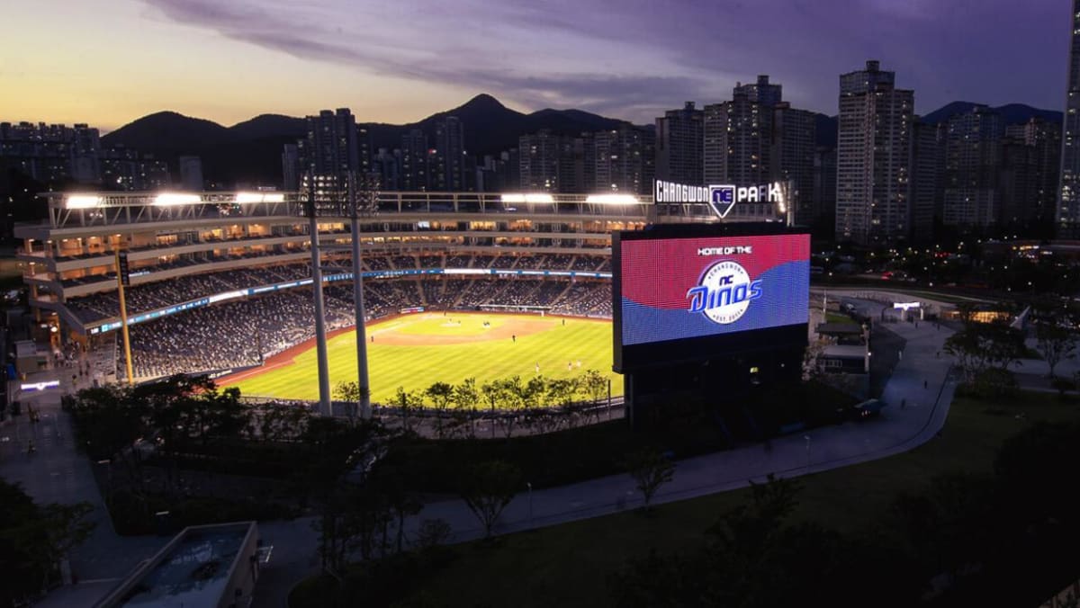 South Korean baseball put on hold after fan killed at stadium