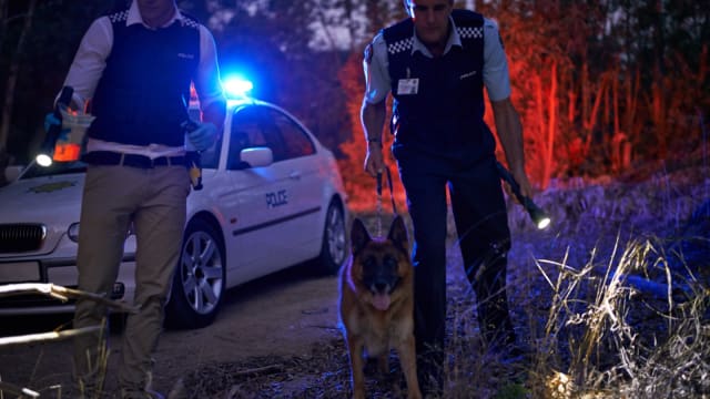 枪杀警犬枪瞄警员 美国17岁少年被警方击毙