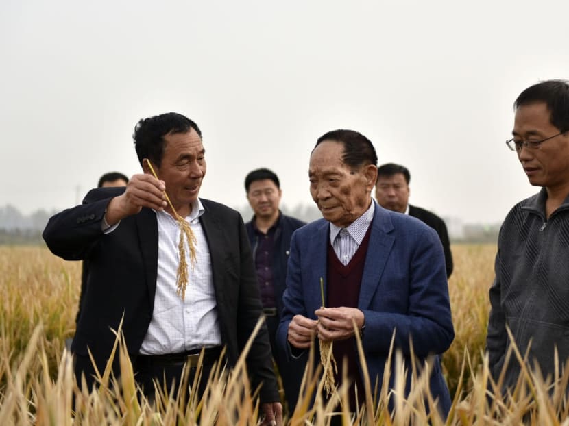 Mr Yuan Longping, the father of hybrid rice, centre, visits a project in China's Hebei province.