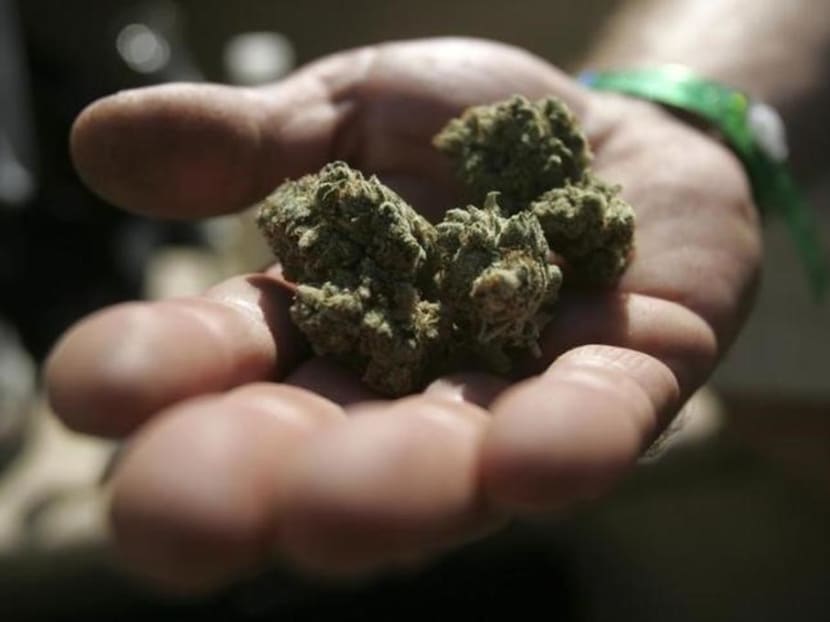 Singaporeans warned against cannabis abuse overseas, amid moves abroad to legalise drug for medical use