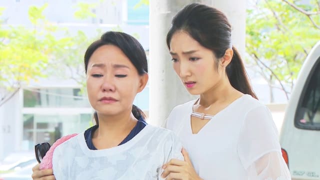 金家好媳妇（第357集）：冠达被收押