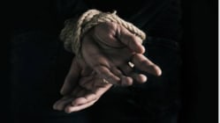 Related article image