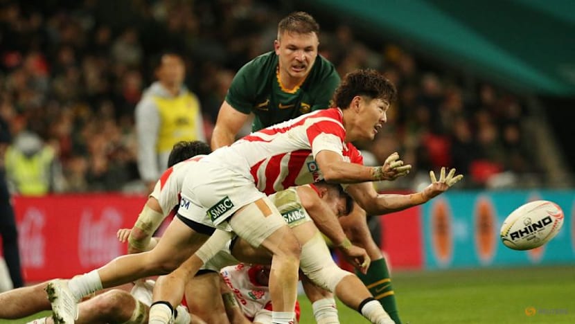 Springboks plunder nine tries in 61-7 rout of Japan