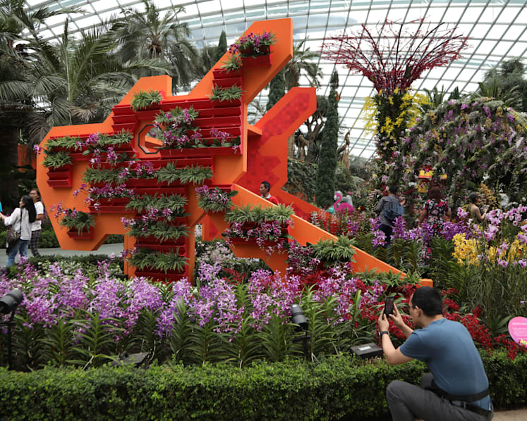 Giant ‘SingaPop’ floral displays, free shows at Gardens by the Bay in August