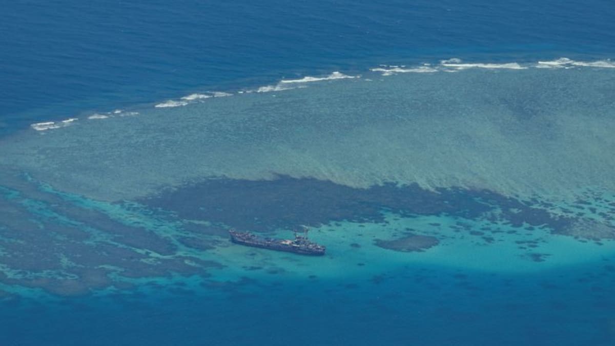 China and Vietnam cause most damage to South China Sea’s corals: Report