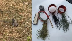 Related article image