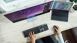 Related article image