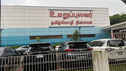 Related article image