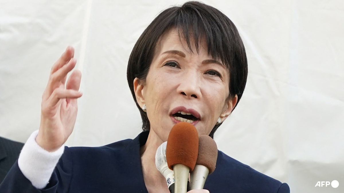 Japan heads to the polls in rare winter election, with PM Takaichi eyeing big win