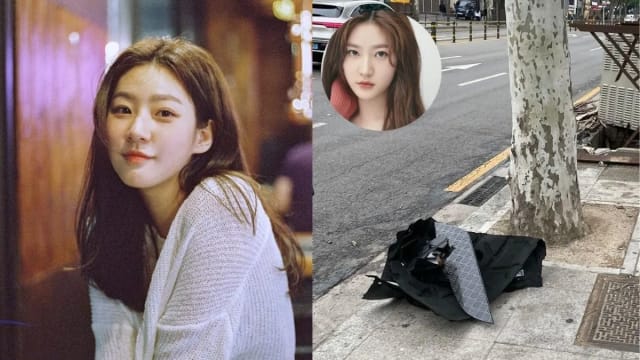 金赛纶酒驾导致街区停电　被不拘留起诉