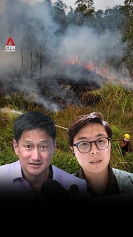 Deep Dive: How Singapore can turn up the heat on haze-linked companies