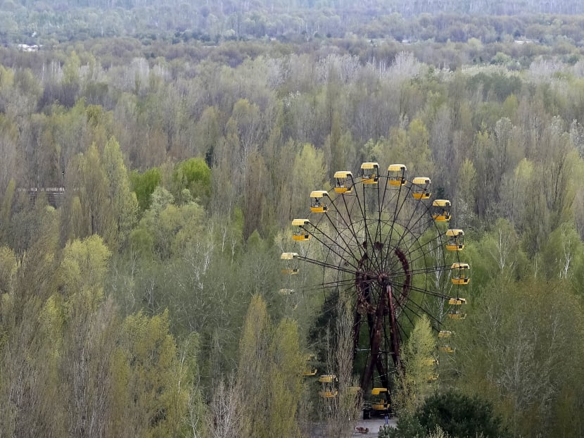 Chernobyl zone turns into testbed for Nature’s rebound