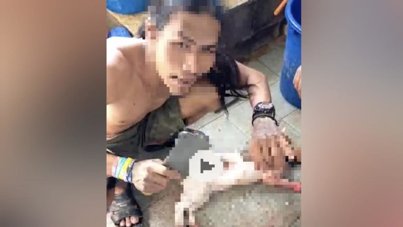 Video of cat getting skinned: Malaysia police arrest man for suspected animal abuse Video of cat getting skinned: Malaysia police arrest man for suspected animal abuse