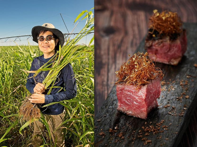 From Singapore to Western Australia’s remote north: How Bruce Cheung built a successful wagyu business