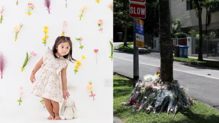 Kemalangan di River Valley: Koroner tekan pentingnya pegang tangan anak kecil ketika lintas jalan