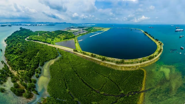 Commentary: NDR 2026 – if Singapore can plan 50 years ahead for infrastructure, can it do the same for nature?