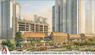 Singapore's tallest public housing project to be launched in Pearl's Hill