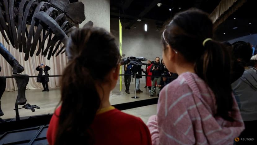 New York museum unveils 'Apex' - an almost complete Stegosaurus New York museum unveils 'Apex' - an almost complete Stegosaurus