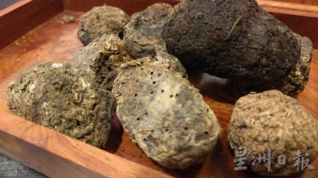 到泰国购买廉价箭猪枣 马国女子坠泰缅“猪仔”陷阱