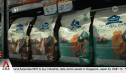 THAILAND'S PET FOOD INDUSTRY: Geopolitical tensions, rising competition risk slowing market growth
