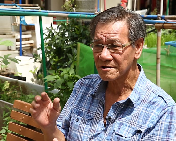 Friendships flourish at Tampines community garden, cafe