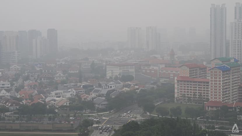 Singapore looking into companies responsible for haze-causing fires, may take legal action: PM Wong