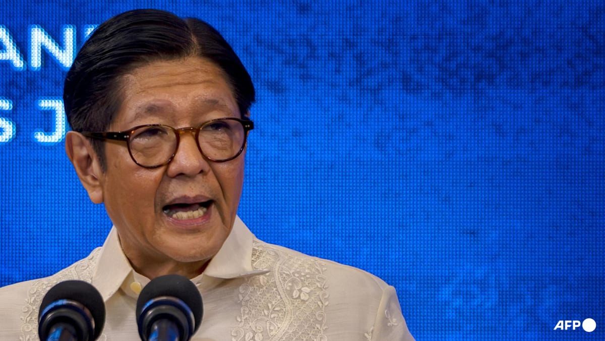 Philippines President Marcos to make Japan state visit