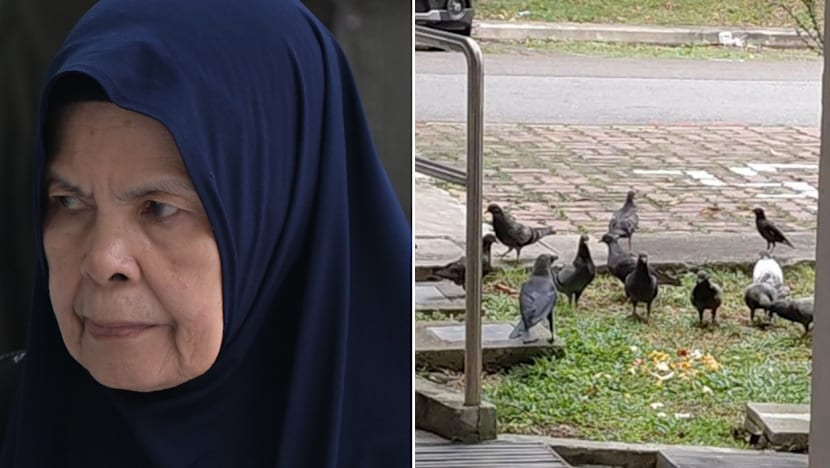 78-year-old woman fined for repeatedly feeding pigeons, hitting surveillance officer