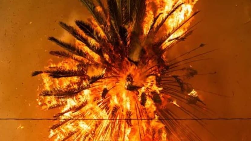 Related article image