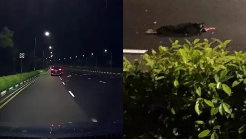 AVS investigating case of dog allegedly thrown out of moving car in Pasir Ris