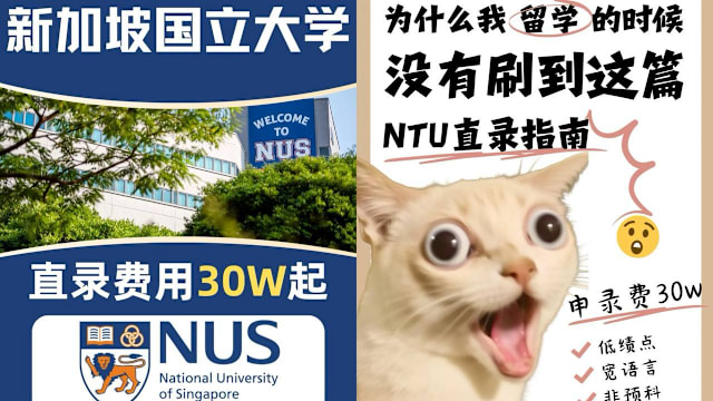 花5万就能“直录”国大南大？ 国大：造假入学将被开除