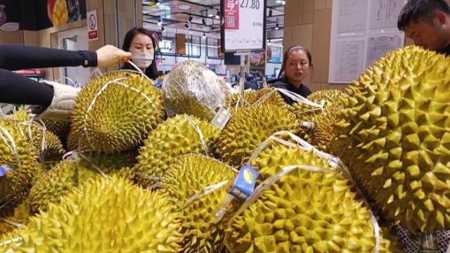 中媒力捧国产榴梿“没臭味” 网民嘲：还是榴梿吗？