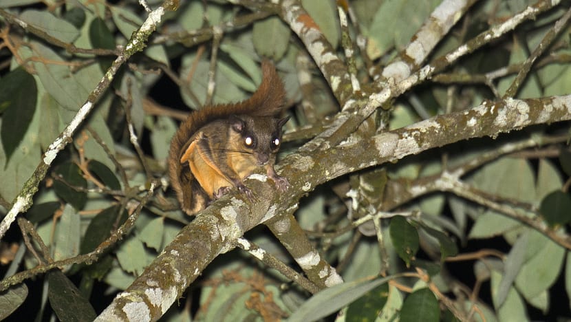 Related article image