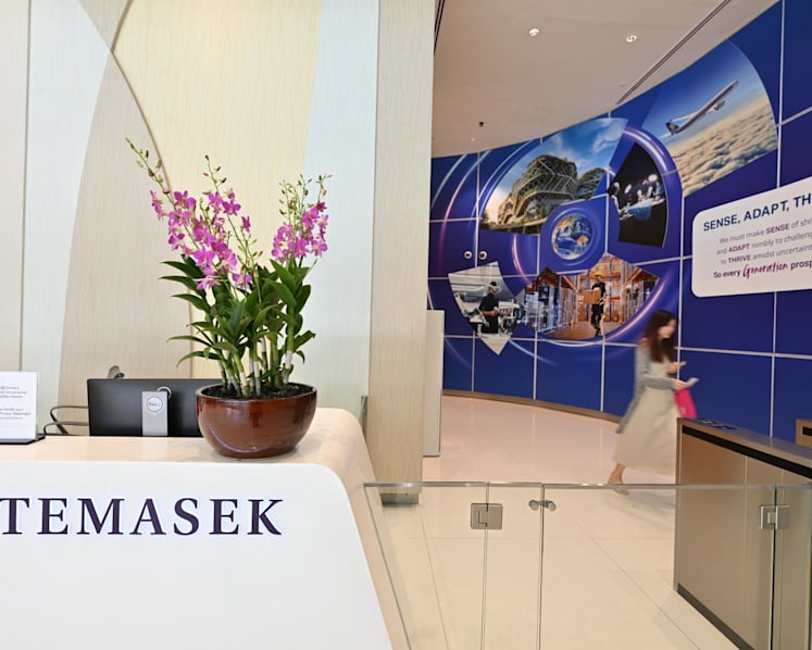 Temasek aims to more than double AI investment portfolio share to as much as 15% by 2031