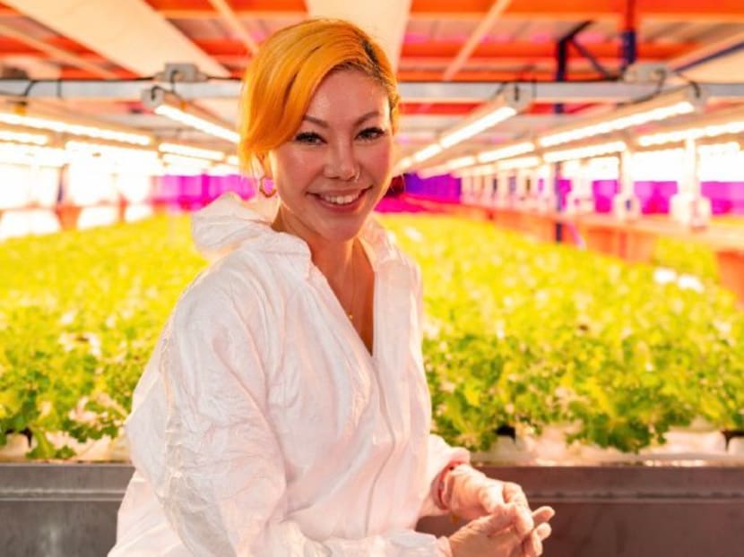 This Singapore mum built a hidden urban farm in Jurong – here’s why she’s fighting to save it This Singapore mum built a hidden urban farm in Jurong – here’s why she’s fighting to save it