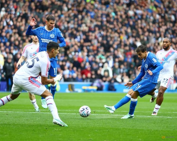 Brighton's patience pays off as Huerzeler helps Seagulls soar