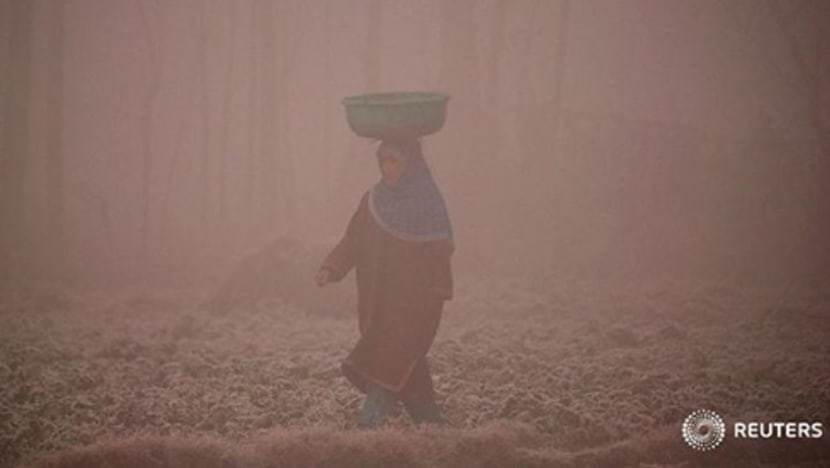 Gambar Pilihan Hari Ini