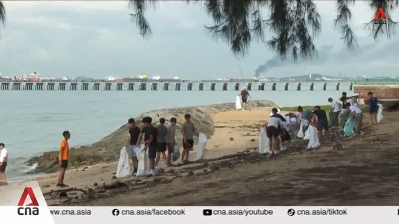 Coastal cleanups: Some cleanup groups in Singapore seeing more volunteers in the past year 